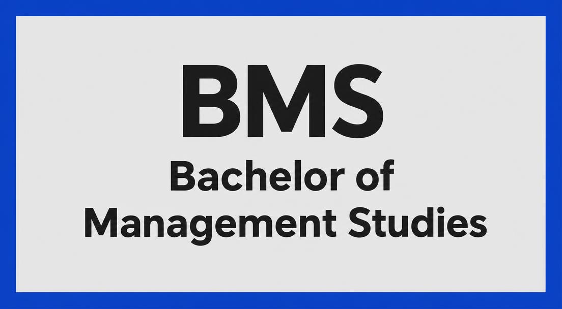 BMS (Management Studies) coaching at Vista Academy, Mira Road
